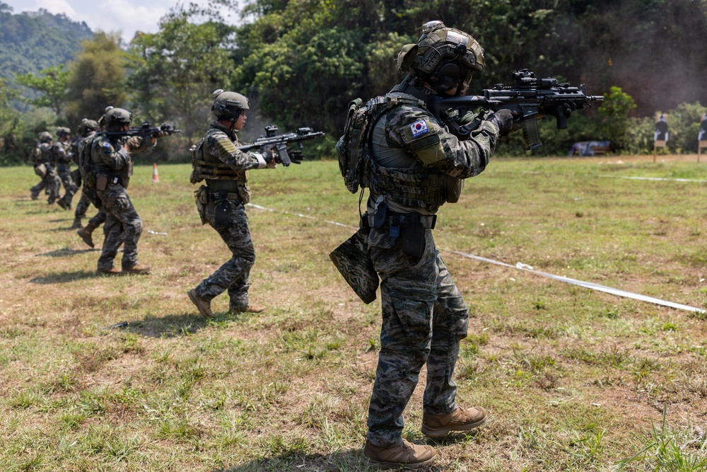 A group of soldiers wearing South Korean military uniforms and tactical gear are conducting a live-fire or combat training exercise on an outdoor range. The soldiers are advancing in a line formation while aiming their rifles toward targets visible in the background. The setting appears to be a grassy field with forested hills in the background.
