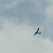 A small aircraft, likely a glider or light plane, is captured in flight against an overcast, cloudy sky. The aircraft appears to be banking or turning, visible in silhouette against the grey-white cloud cover. The image was taken from a ground-level perspective looking upward.