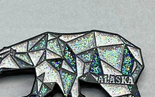 Alaska’s Frontier Grit Takes the Win at First-Ever NGAUS State Pin Competition
