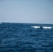 The image shows an open ocean scene with two vessels visible on choppy blue water. A smaller, fast-moving rigid inflatable boat (RIB) is in the foreground-middle distance, creating a white wake as it speeds toward a larger white motor yacht in the background. The photo appears to be taken from another vessel, with a partial view of a rusted hull or structure visible on the right edge.