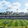 A pre-game or halftime ceremony is taking place at an outdoor American football stadium, featuring a large marching band formation on the field along with an American flag display. Military helicopters are conducting a flyover above the stadium. The venue appears to be located in an urban setting, likely Honolulu, Hawaii, based on the distinctive skyline and the domed arena visible in the background.