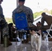 A calico/tricolor cat walks confidently across a concrete floor in the foreground while several military personnel in MARPAT camouflage uniforms sit on blue and white folding chairs in the background. The setting appears to be an open-air covered structure, possibly during a field exercise or briefing. The cat appears to be a local or stray animal that has wandered into the military area.