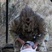 A U.S. Army soldier in full combat gear and OCP (Operational Camouflage Pattern) uniform is performing a medical assessment or stabilization technique on a casualty lying on a litter/stretcher. The soldier appears to be applying a cervical spine or head stabilization hold, suggesting a tactical combat casualty care (TCCC) scenario. The setting appears to be an outdoor field training exercise in a dry, brushy terrain.