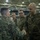 Several U.S. Marines in MARPAT woodland camouflage uniforms are gathered in what appears to be a large indoor facility, possibly a hangar or gymnasium. Two Marines in the foreground are engaged in a handshake, suggesting a formal greeting, recognition, or introduction ceremony. Additional Marines observe the interaction in the background.