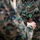 A U.S. Marines service member is being awarded a military medal during a formal pinning ceremony. A second person's hand is visible holding or pinning a gold medal with a teal and orange ribbon onto the recipient's MARPAT (Marine Pattern) camouflage uniform. The 'U.S. MARINES' tape is clearly visible on the uniform chest.