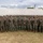 A large group of military personnel, approximately 25-30 individuals, pose for a formal group photograph in front of a large white tent structure. All personnel are wearing matching woodland camouflage uniforms and tan/brown boots, consistent with U.S. Marine Corps MARPAT pattern. Several individuals in the group appear to be holding small objects, possibly coins or medals, suggesting a recognition or award ceremony.