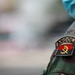 The image shows a close-up of a military uniform shoulder area belonging to an Angolan armed forces member. A patch displaying the Angolan flag and the text 'ANGOLA' is clearly visible on the upper arm, along with rank insignia showing four stars on an epaulette. The person is also wearing a light blue surgical/medical face mask, visible at the top of the frame.