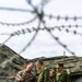 The image shows a group of military personnel from two different armed forces engaged in what appears to be a briefing or discussion near a camouflaged field tent. One soldier wearing MARPAT (US Marine Corps) digital camouflage is interacting with three soldiers wearing a different green camouflage pattern consistent with Japan Ground Self-Defense Force uniforms. The photo is taken through barbed wire in the foreground, which is intentionally blurred, suggesting a joint military exercise or bilateral training event.