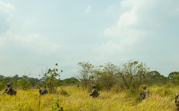 A group of military personnel in camouflage uniforms are conducting a patrol or field exercise through tall grassland terrain with scattered trees and shrubs. The soldiers are spread out in a tactical formation moving away from the camera's perspective. The environment appears to be a tropical or subtropical savanna-like landscape under a partly cloudy sky.