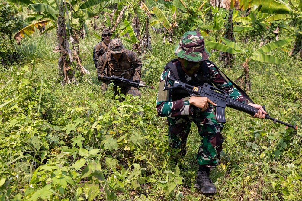 Three armed soldiers are conducting a patrol or training exercise through dense tropical jungle vegetation. Two soldiers in the background wear tan/brown camouflage uniforms consistent with US Marine Corps pattern, while the lead soldier wears a green woodland camouflage uniform and bucket hat consistent with Indonesian TNI (Tentara Nasional Indonesia) military dress. The setting and mixed uniforms suggest a joint military training exercise in a tropical environment.