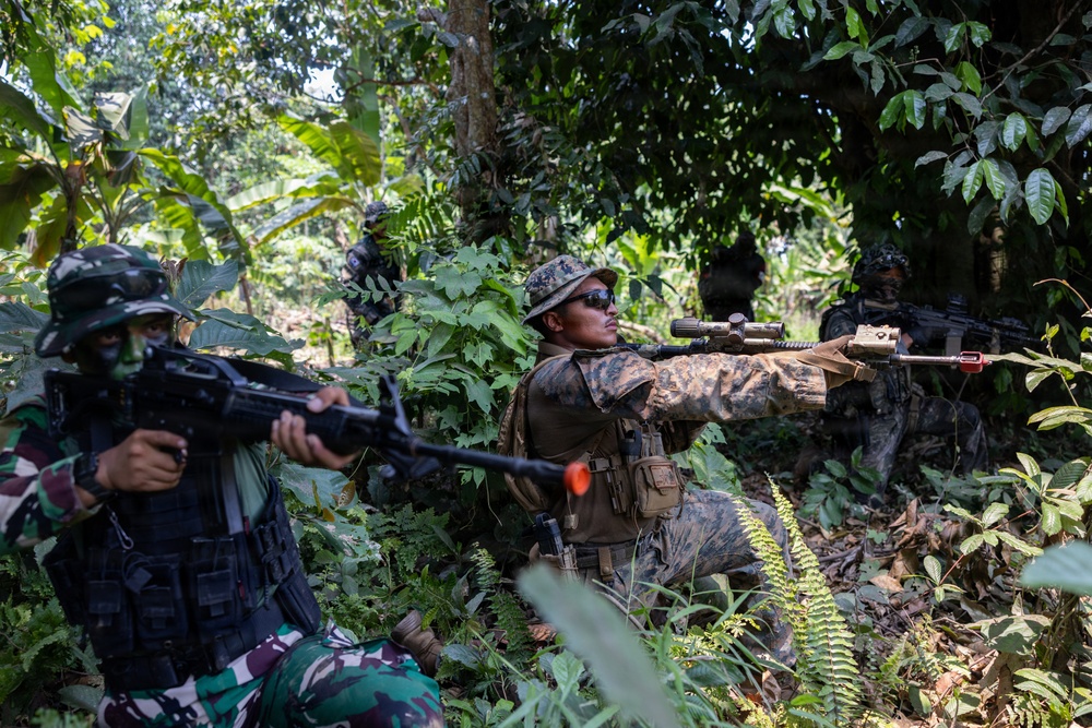 The image shows multiple armed military personnel conducting what appears to be a joint training exercise in a dense jungle or tropical forest environment. At least two distinct camouflage patterns are visible, suggesting soldiers from different military units or nations are participating together. The personnel are in tactical positions with weapons raised, consistent with a patrol or combat training scenario.