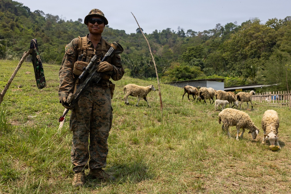 A soldier in camouflage uniform and tactical gear stands in a grassy field holding a rifle, smiling at the camera. Behind him, a flock of sheep grazes on the hillside near a wooden fence structure. The setting appears to be a rural, tropical or subtropical area with dense green forest in the background.