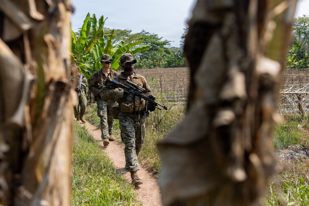 A group of military personnel in woodland camouflage uniforms are conducting a patrol along a narrow dirt path between what appear to be dried palm frond structures. The lead soldier is carrying an assault rifle at the ready while moving through a rural, tropical environment. The setting suggests a training exercise or operational patrol in a tropical region, evidenced by banana trees and agricultural fields in the background.