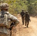 The image shows a group of military personnel conducting a patrol along a dirt road through a wooded or jungle-like terrain. Multiple soldiers in different camouflage patterns are visible, suggesting a multinational or joint training exercise. The foreground soldier is equipped with a tactical backpack and rifle, facing toward the approaching patrol members.