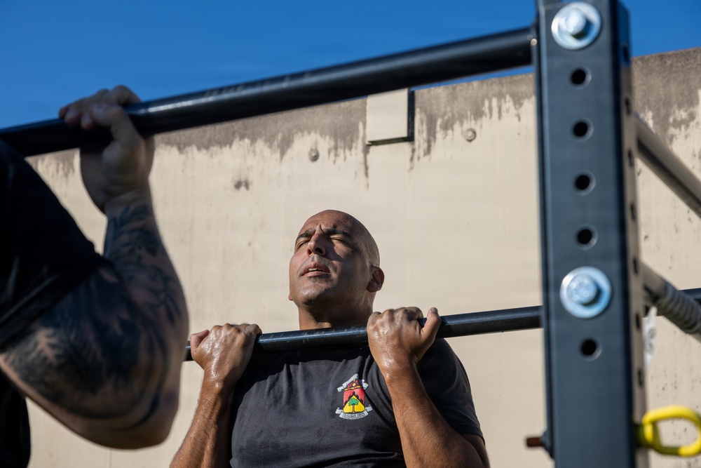 A bald man is performing pull-ups on an outdoor exercise bar, visibly exerting effort with a strained expression. He is wearing a dark gray t-shirt with a military-style unit patch/emblem on the chest. The photo is taken from a low angle against a blue sky and a concrete wall background.