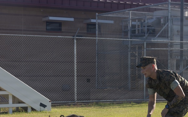 USMC K9 Handler, Cpl. Foleys Promotion