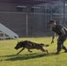 A military service member in camouflage uniform is working with a military working dog (MWD) on a grassy training area. The dog, appearing to be a German Shepherd, is running at low speed in a crouched position while the handler leans forward in a ready stance. The setting appears to be a military K-9 training facility with chain-link fencing and kennels visible in the background.