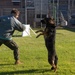 A military K9 training exercise is taking place on a grass field at what appears to be a military installation. A person wearing a padded protection suit and military camouflage pants is acting as a decoy while a German Shepherd dog lunges upright on its hind legs toward them. A handler is visible at the right edge of the frame holding the dog's leash.