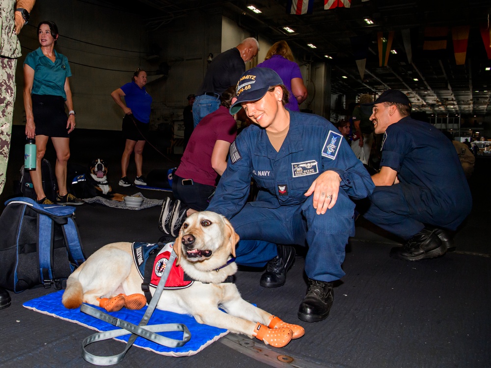 A U.S. Navy sailor in blue working uniform crouches beside a yellow Labrador Retriever therapy dog wearing a red service vest and orange protective booties, resting on a blue mat. The setting appears to be the hangar bay of a naval vessel, identifiable by the USS Nimitz (CVN-68) cap worn by the sailor. Multiple civilians and other personnel are visible in the background, suggesting a morale or community relations event.