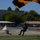 Canopy Relative Work Teams Compete at 2026 National Championships A skydiver is captured moments before landing on a grassy area, deploying a black and yellow parachute canopy. The setting appears to be a public airshow or demonstration event, with spectator tents, buildings, and trees visible in the background. The image has slight motion blur, suggesting the skydiver is moving at speed during the final approach.