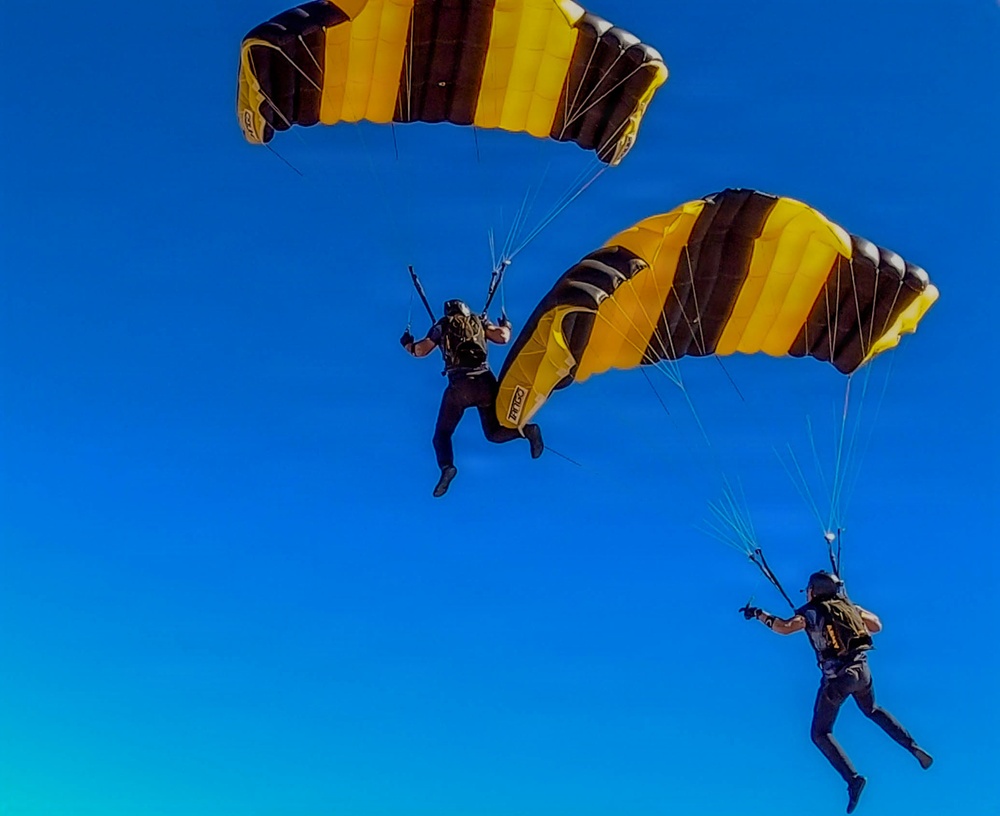 Two skydivers are descending under fully deployed parachutes against a clear blue sky. Both canopies share an identical yellow and dark brown/black striped pattern, suggesting they are part of the same team or demonstration group. The image is taken from below and slightly to the side, capturing both jumpers in close proximity during their descent.