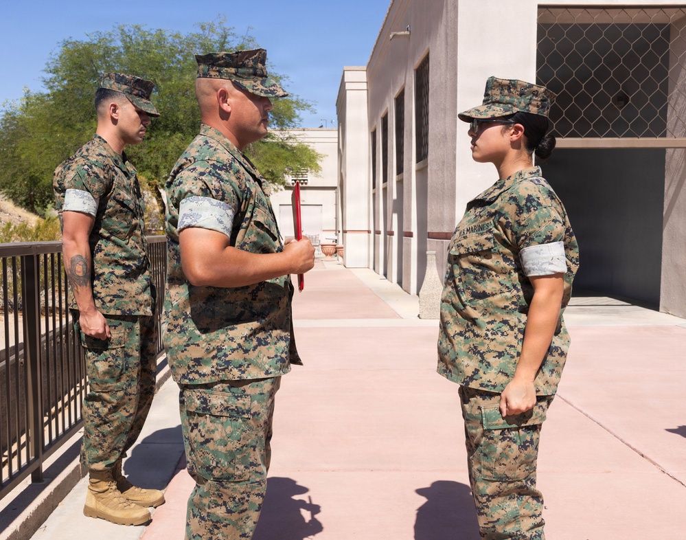 Three U.S. Marines in MARPAT woodland digital camouflage uniforms are gathered outdoors on a paved walkway, appearing to be in a formal interaction or inspection. Two males and one female Marine are present, all wearing patrol caps and light blue armband identifiers. The setting appears to be a military installation in a desert environment based on the architecture and vegetation.