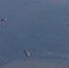 Three parachutists are descending over a mountainous, forested landscape. The parachutes appear to be military-style ram-air canopies in gray/olive tones. The image is taken from an elevated vantage point, possibly from an aircraft, showing the jumpers at varying altitudes above a valley.