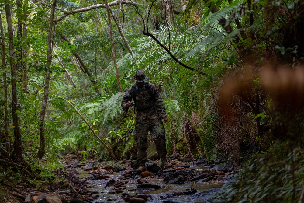 A single soldier in camouflage uniform and boonie hat navigates through a dense tropical or subtropical jungle environment, crossing a rocky shallow stream. The lush vegetation includes large tree ferns, broadleaf trees, and dense undergrowth, suggesting a Pacific or Indo-Pacific region. The image is captured from a distance with a shallow depth of field, with foreground foliage slightly blurring the right side of the frame.