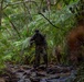 A single soldier in camouflage uniform and boonie hat navigates through a dense tropical or subtropical jungle environment, crossing a rocky shallow stream. The lush vegetation includes large tree ferns, broadleaf trees, and dense undergrowth, suggesting a Pacific or Indo-Pacific region. The image is captured from a distance with a shallow depth of field, with foreground foliage slightly blurring the right side of the frame.