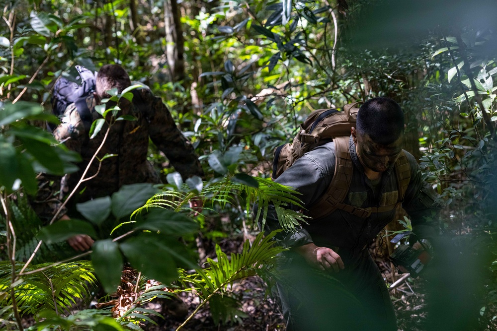 Two individuals in military-style camouflage uniforms and tactical gear are moving through dense jungle or forest terrain. Both are wearing face paint and carrying large rucksacks, suggesting a military training exercise or patrol operation. The environment is characterized by thick tropical vegetation with ferns, broad-leaf plants, and tall trees.