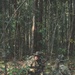 Two armed personnel in full camouflage gear are moving through a dense tropical or subtropical forest environment. Both individuals wear boonie hats and carry rifles, with one displaying what appears to be a US flag patch on their sleeve. The setting and equipment suggest a military patrol, training exercise, or special operations activity in a jungle terrain.