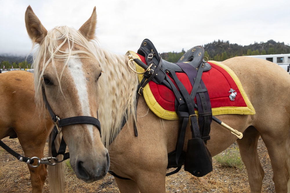 U.S. Marine Corps Mounted Color Guard presents the colors for the Big Bear Rodeo