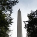 A ground-level view of the Washington Monument in Washington, D.C., photographed from a paved walkway leading toward the base of the obelisk. The image is taken during golden hour with backlit lighting, creating a dramatic silhouette effect against a bright sky. Several visitors are visible on and near the path, with lush green lawns and trees framing the monument on both sides.