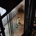 A U.S. military soldier in full camouflage uniform and tactical gear is photographed from an elevated angle, walking through what appears to be a stone corridor or hallway of a large institutional or government building. The soldier's shadow is cast dramatically on the stone wall behind them, and a bronze or brass notice placard is visible on the wall. The image is taken through metal railings, suggesting the photographer is on a staircase or elevated platform above.