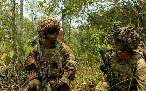 Two military personnel in full combat gear are positioned in a dense jungle or forest environment, appearing to be in a tactical crouch or kneeling position. Both soldiers are equipped with camouflage helmets, body armor, and assault rifles, suggesting a training exercise or patrol operation. The lush, overgrown vegetation and dry leaf ground cover indicate a tropical or subtropical environment.