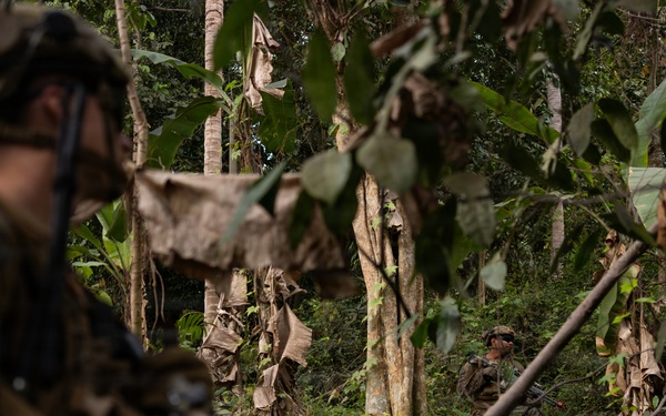 Two military personnel in camouflage uniforms and helmets are moving through dense tropical jungle vegetation. The foreground soldier is out of focus while a second soldier is visible in the middle distance among trees and foliage. The environment features tropical plants including banana trees and palm trees, suggesting a Southeast Asian or Pacific Island setting.