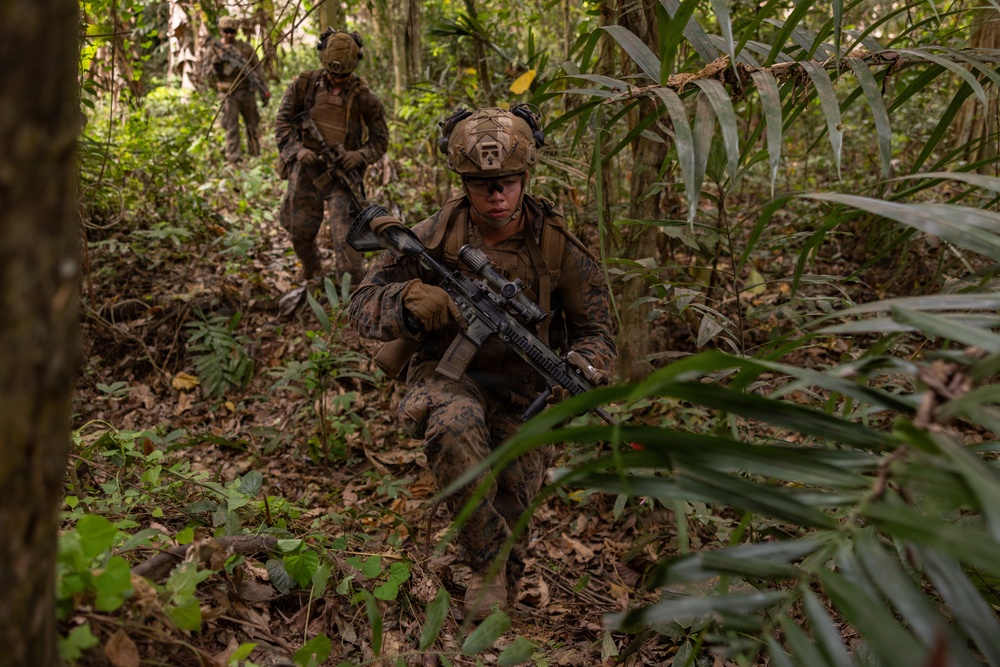 Three military personnel in full combat gear are conducting a patrol through dense jungle terrain. The lead soldier is in a crouched, tactical position holding an assault rifle with an optic scope, while two others follow behind in a column formation. The environment is a tropical forest with heavy undergrowth, fallen leaves, and dense vegetation.