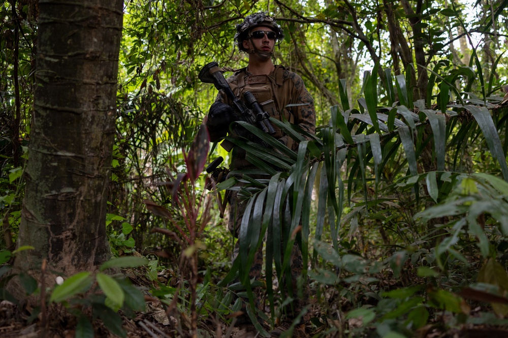 A uniformed military service member is patrolling through dense tropical jungle vegetation. The soldier is equipped with full combat gear including a helmet, body armor, tactical vest, and is carrying a rifle with an underbarrel attachment. The lush green environment and plant species suggest a tropical or subtropical operational environment.