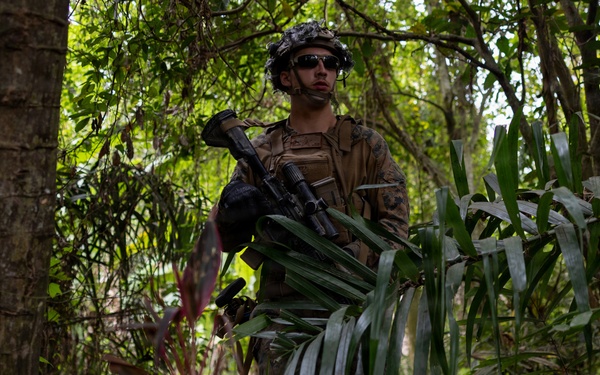 A uniformed military service member is patrolling through dense tropical jungle vegetation. The soldier is equipped with full combat gear including a helmet, body armor, tactical vest, and is carrying a rifle with an underbarrel attachment. The lush green environment and plant species suggest a tropical or subtropical operational environment.