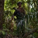 A uniformed military service member is patrolling through dense tropical jungle vegetation. The soldier is equipped with full combat gear including a helmet, body armor, tactical vest, and is carrying a rifle with an underbarrel attachment. The lush green environment and plant species suggest a tropical or subtropical operational environment.