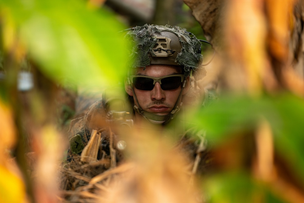 A military service member is photographed through dense jungle foliage, partially concealed by vegetation. The soldier is wearing tactical gear including a helmet with camouflage netting and dark ballistic sunglasses. The image appears to capture a reconnaissance or concealment exercise in a tropical environment.