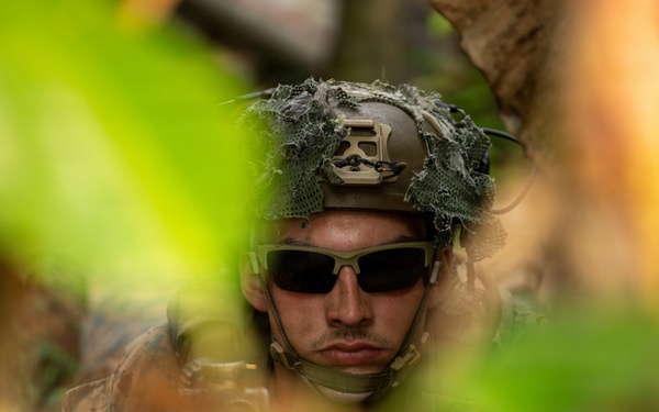 A military service member is photographed through dense jungle foliage, partially concealed by vegetation. The soldier is wearing tactical gear including a helmet with camouflage netting and dark ballistic sunglasses. The image appears to capture a reconnaissance or concealment exercise in a tropical environment.