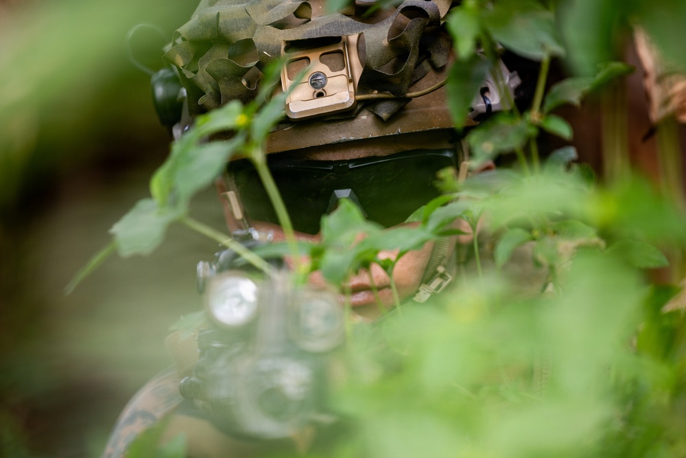 A soldier or military personnel is partially concealed among dense green foliage, wearing full tactical gear including a camouflaged helmet with a mounted accessory and dark protective eyewear. The subject appears to be in a surveillance or observation posture, blending into the natural environment. The shallow depth of field and foreground vegetation create a layered, partially obscured composition.