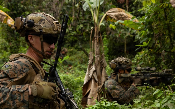 Two military personnel in MARPAT (Marine pattern) camouflage uniforms are conducting a patrol or tactical exercise in a dense jungle/tropical environment. The foreground soldier is in a kneeling security position while the background soldier is aiming their rifle. The lush green vegetation and banana trees suggest a tropical location, consistent with a training exercise or operational deployment.