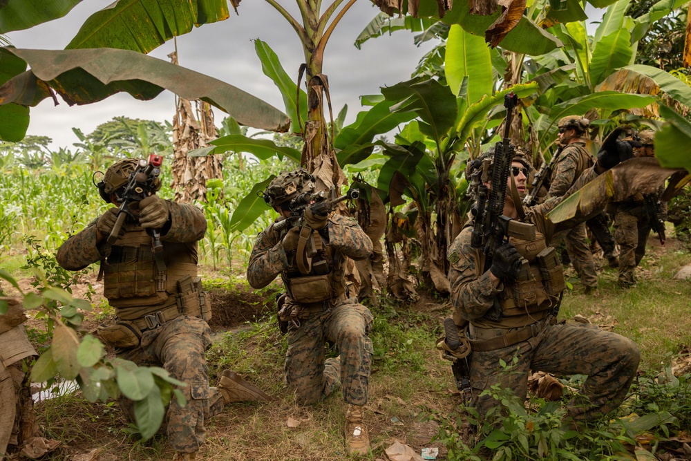 A group of military personnel in woodland/digital camouflage uniforms are positioned in a kneeling tactical formation among banana trees and adjacent to a cornfield. They are armed with assault rifles and equipped with tactical gear including plate carriers, helmets, and gloves. The setting appears to be a tropical or subtropical agricultural environment, consistent with a training exercise or operational patrol.