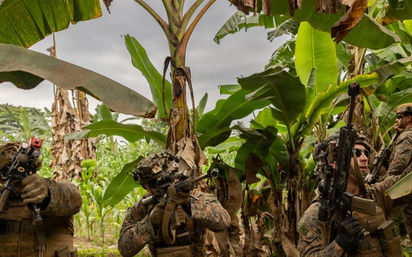 A group of military personnel in woodland/digital camouflage uniforms are positioned in a kneeling tactical formation among banana trees and adjacent to a cornfield. They are armed with assault rifles and equipped with tactical gear including plate carriers, helmets, and gloves. The setting appears to be a tropical or subtropical agricultural environment, consistent with a training exercise or operational patrol.