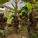A group of military personnel in woodland/digital camouflage uniforms are positioned in a kneeling tactical formation among banana trees and adjacent to a cornfield. They are armed with assault rifles and equipped with tactical gear including plate carriers, helmets, and gloves. The setting appears to be a tropical or subtropical agricultural environment, consistent with a training exercise or operational patrol.