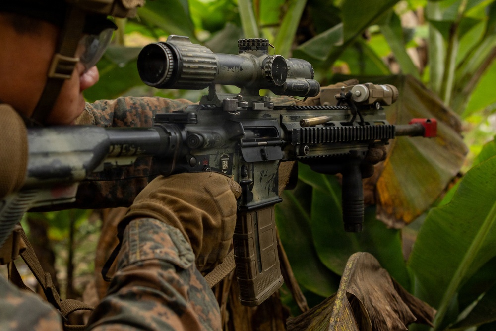 A military service member in MARPAT (Marine pattern) camouflage uniform is aiming an AR-platform rifle equipped with a magnified optic scope and vertical foregrip in a jungle or tropical environment. The weapon appears to be an M4/M16-variant with multiple rail-mounted accessories. The setting suggests a training exercise or operational deployment in a tropical region.