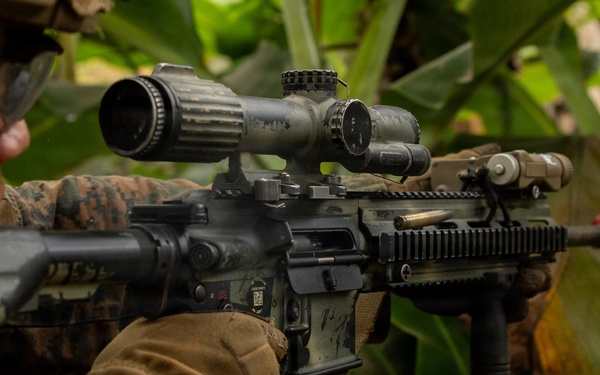 A military service member in MARPAT (Marine pattern) camouflage uniform is aiming an AR-platform rifle equipped with a magnified optic scope and vertical foregrip in a jungle or tropical environment. The weapon appears to be an M4/M16-variant with multiple rail-mounted accessories. The setting suggests a training exercise or operational deployment in a tropical region.