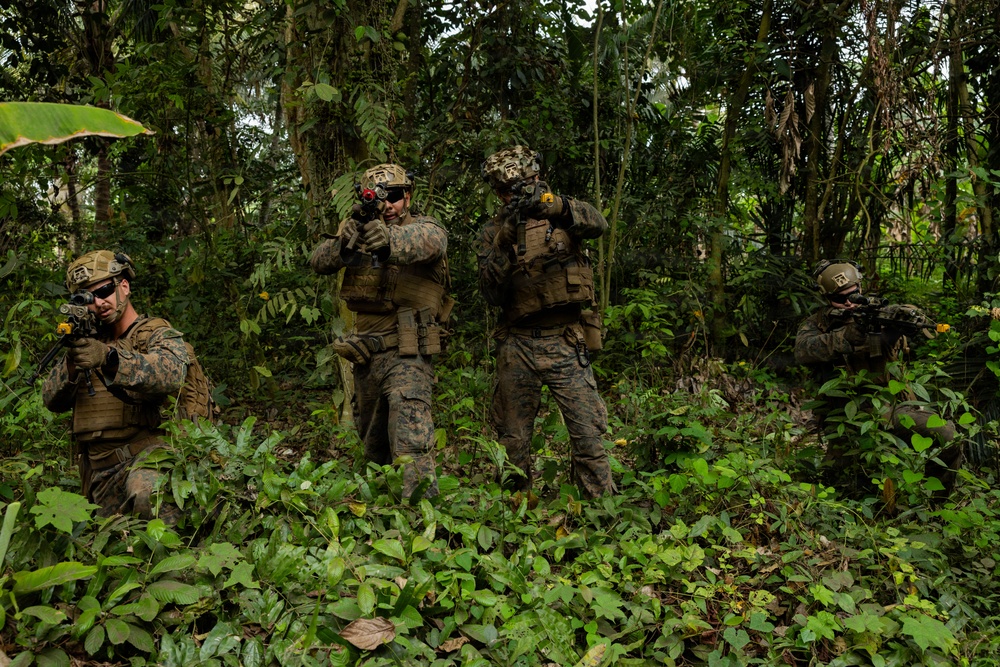 Four armed military personnel in full combat gear are conducting a patrol or tactical movement through dense jungle/tropical vegetation. The soldiers are wearing woodland digital camouflage uniforms consistent with U.S. Marine Corps MARPAT pattern, with tactical vests, helmets, and are carrying rifles in a ready position. The setting appears to be a tropical forest environment, suggesting a jungle warfare training exercise or operational patrol.